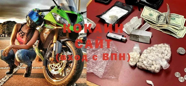 прущие грибы Инта