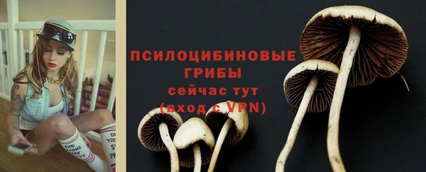 кокаин колумбия Инсар