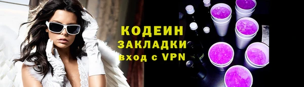 прущие грибы Инта