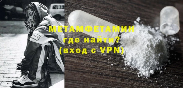 прущие грибы Инта