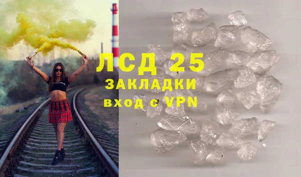 сатива Слюдянка
