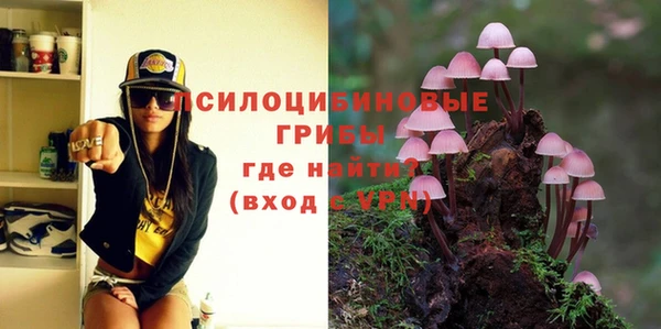 кокаин колумбия Инсар