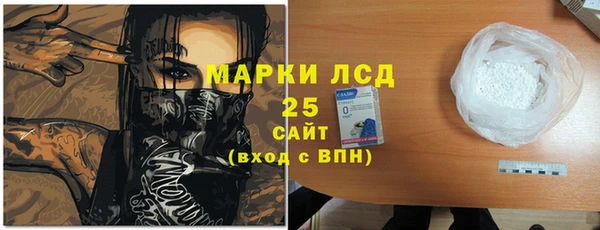 прущие грибы Инта