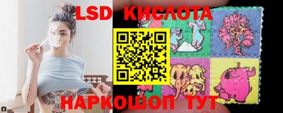 стафф Славгород