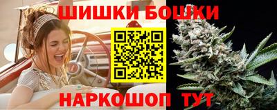 стафф Славгород