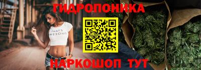 стафф Славгород