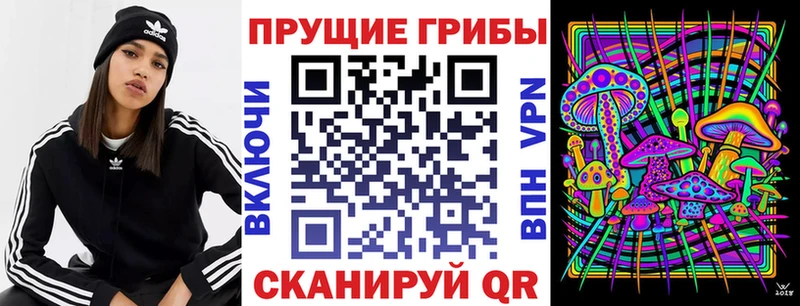 MEGA рабочий сайт  как найти закладки  Слободской  Галлюциногенные грибы Cubensis 