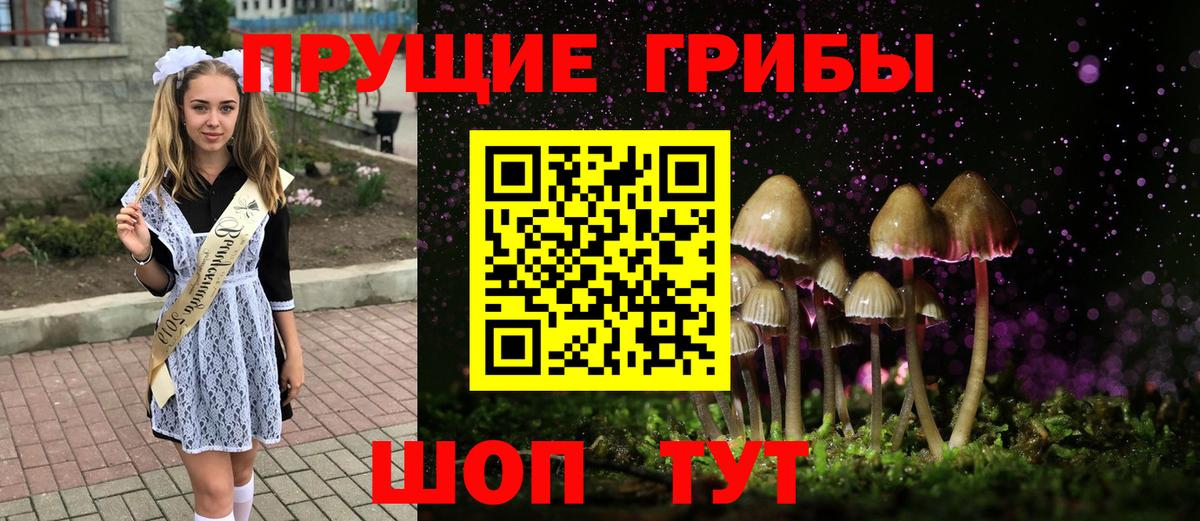 Слободской  Галлюциногенные грибы Cubensis  Вход с VPN 