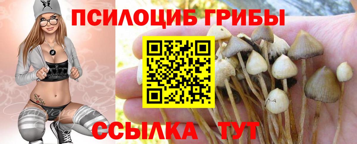 Галлюциногенные грибы Magic Shrooms Слободской
